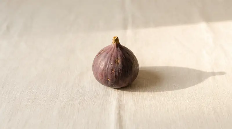 Sade krem fon önünde incir; bebeğin bu haftaki yaklaşık boyutu.