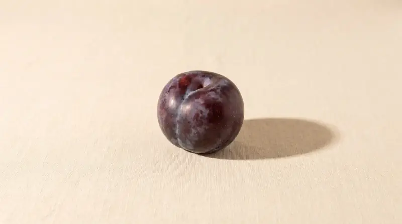 Sade krem fon önünde erik; bebeğin bu haftaki yaklaşık boyutu.